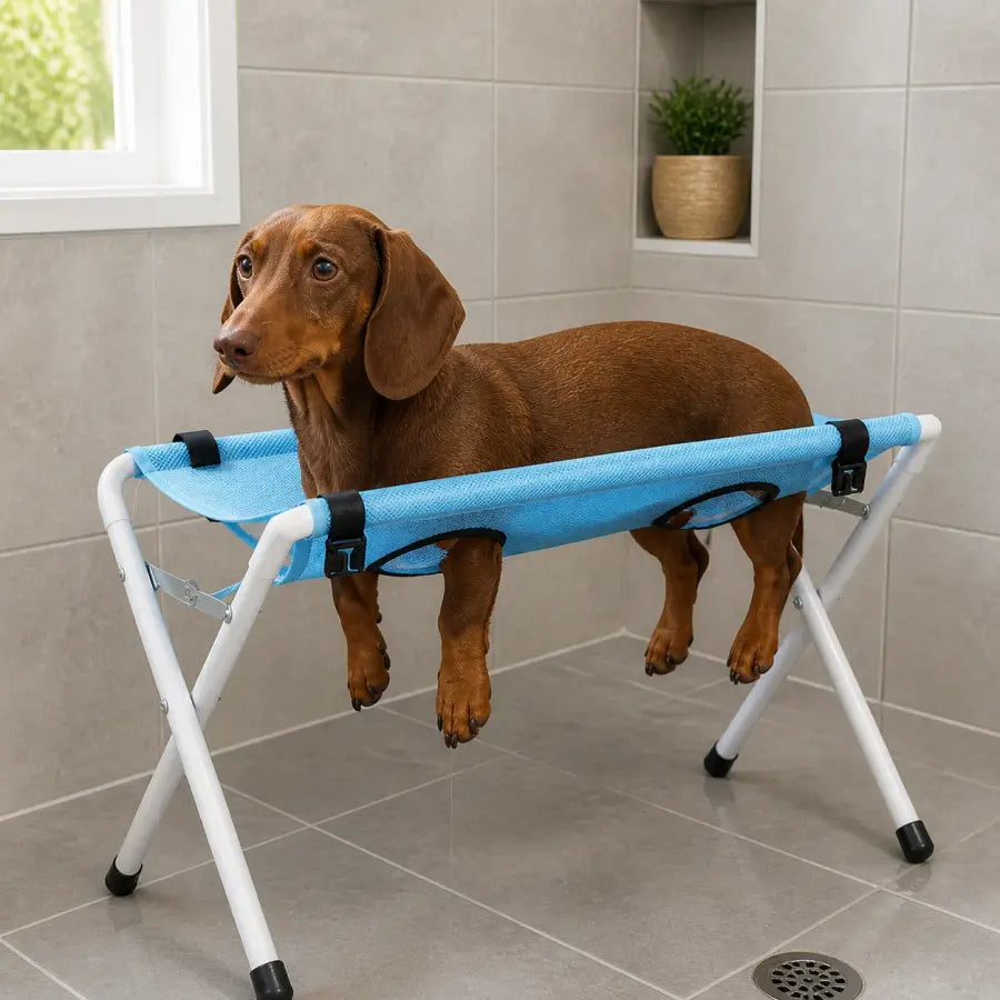 PawLift™