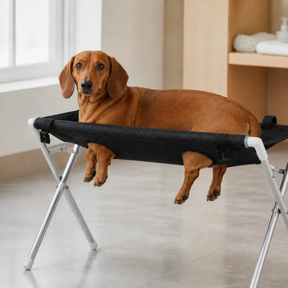 PawLift™