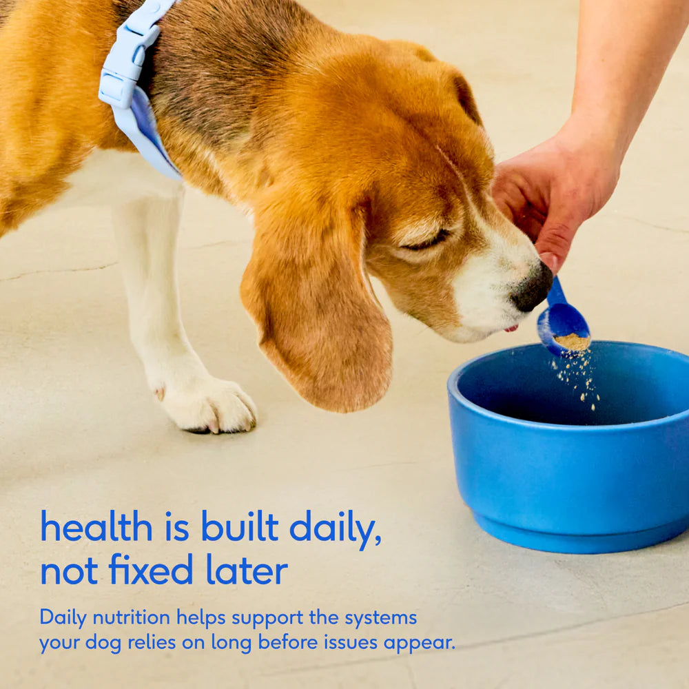 The Daily Native Pet™